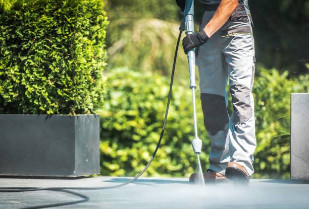 Best House Exterior Washing  in Bainbridge, PA